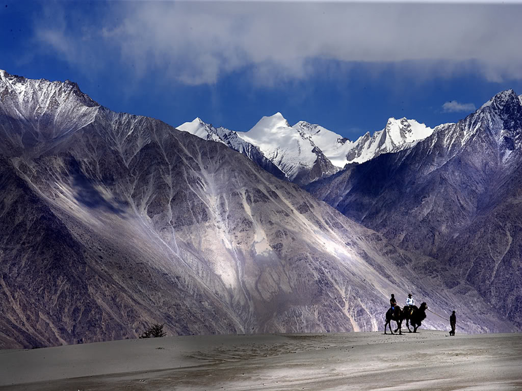 Nubra Valley - Leh Ladakh