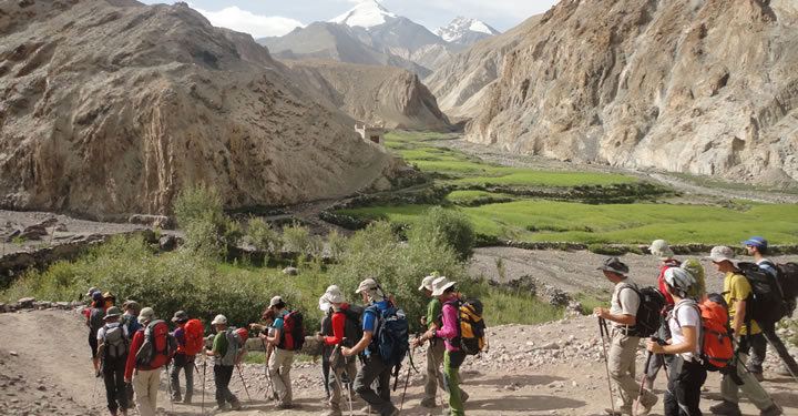 Markha Valley - Leh Ladakh